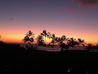 Beautiful sunset from the Lanai. Notice the heart formed by the palm trees