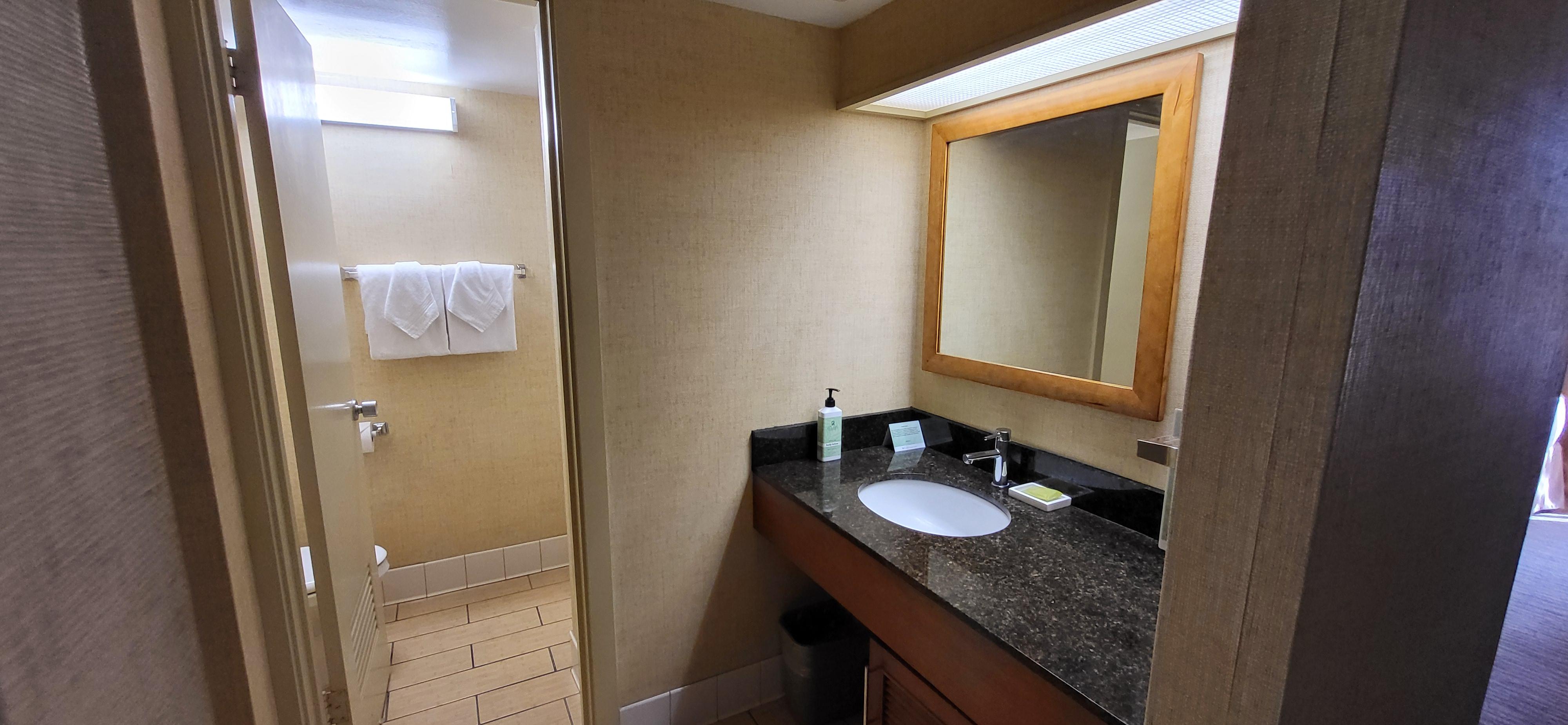 Sink and entrance to the toilet and shower 