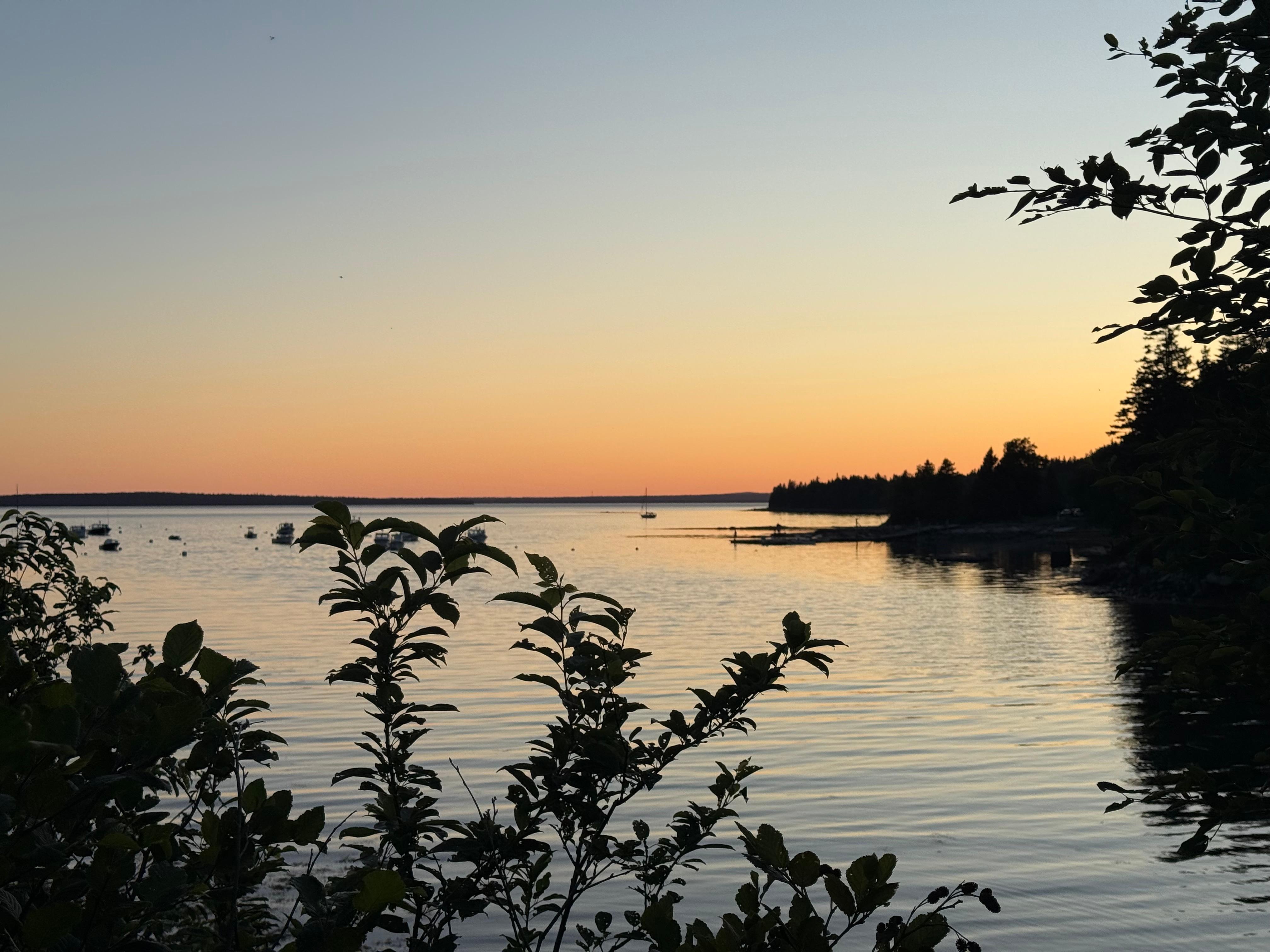 No barge and a lovely sunset 