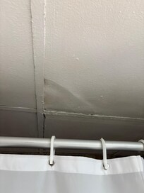 Ceiling tiles were water damaged and then painted over but still rusted and did not seem safe