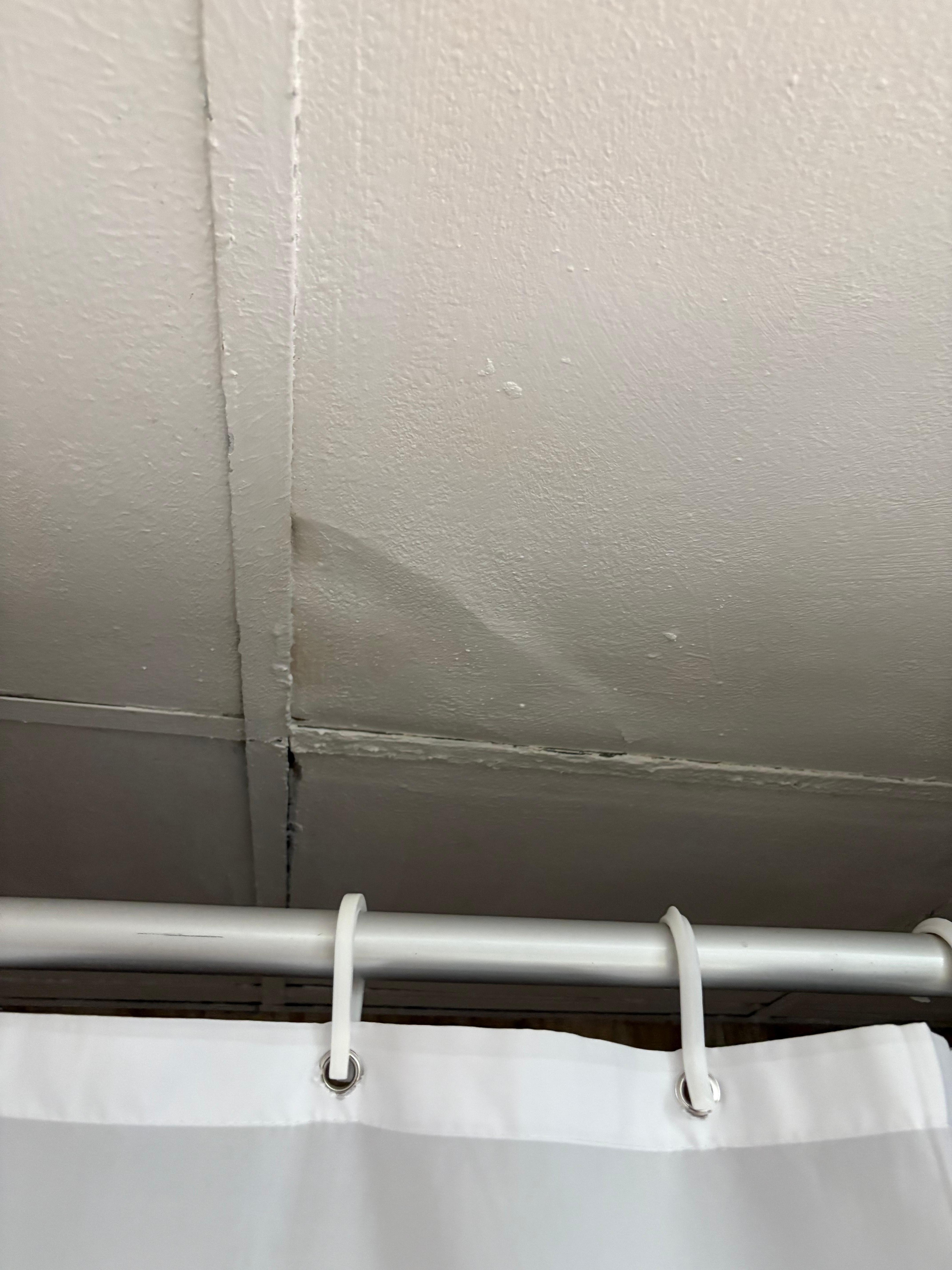 Ceiling tiles were water damaged and then painted over but still rusted and did not seem safe