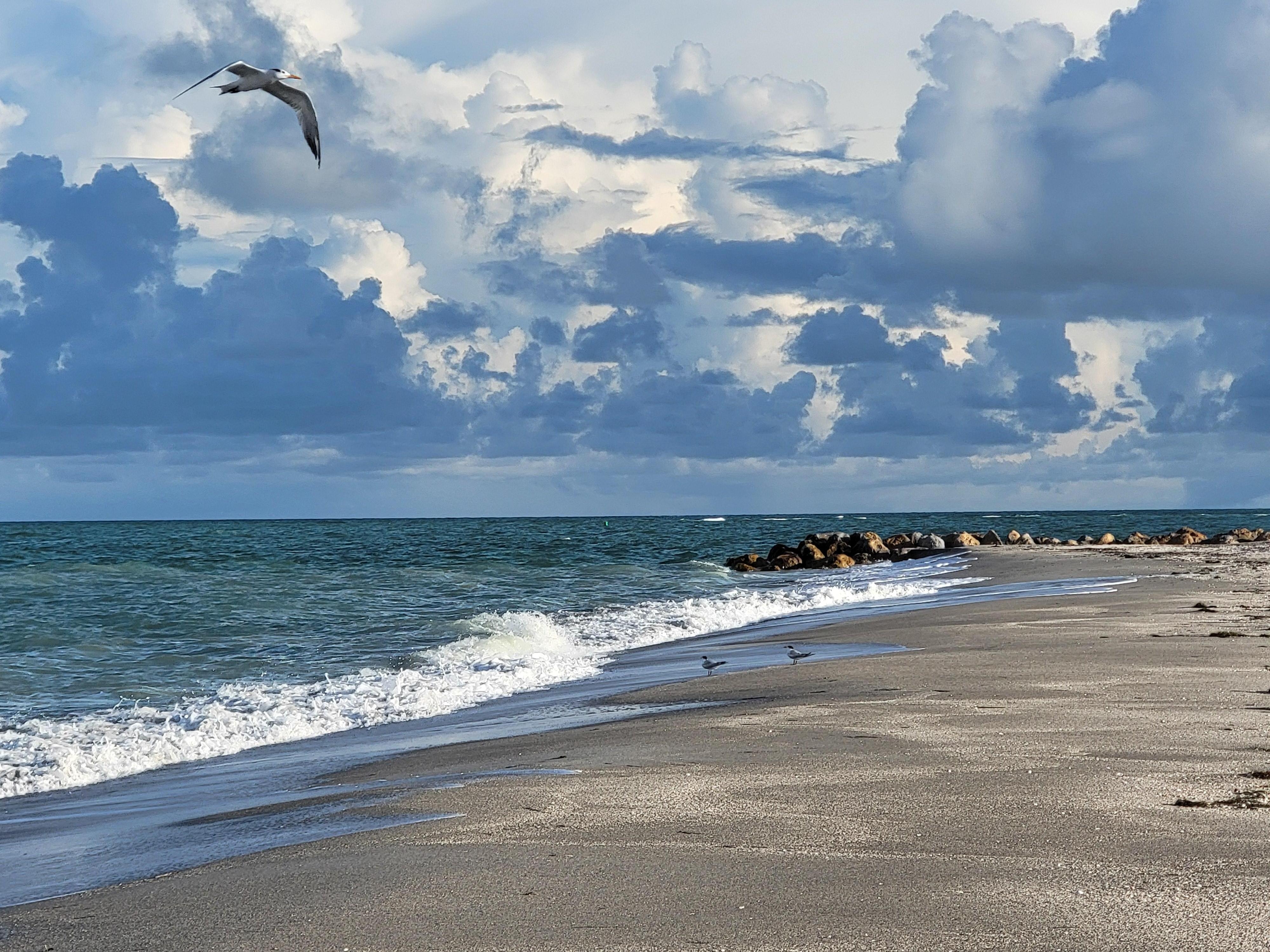 Morning beach walk.