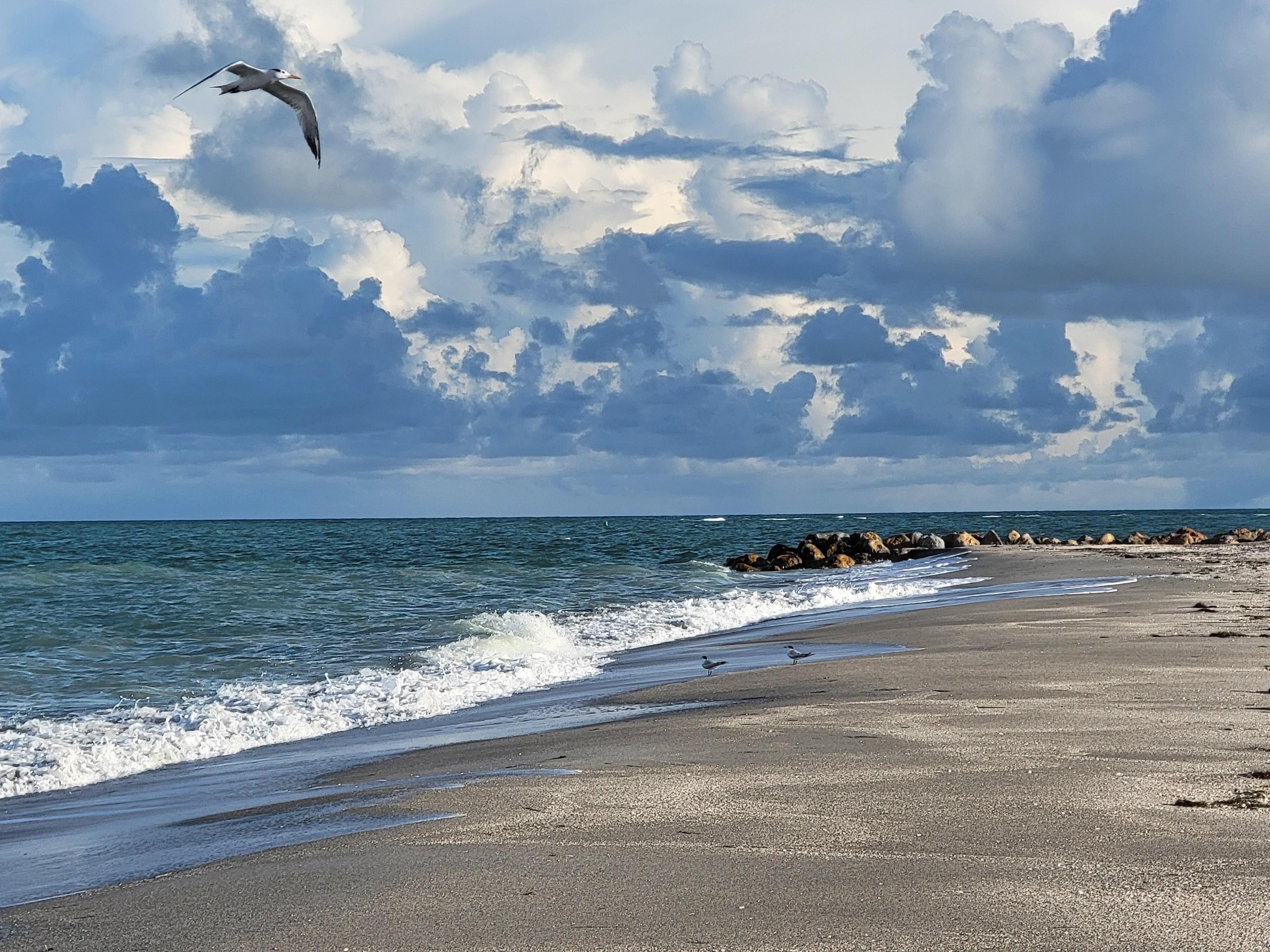 Morning beach walk.