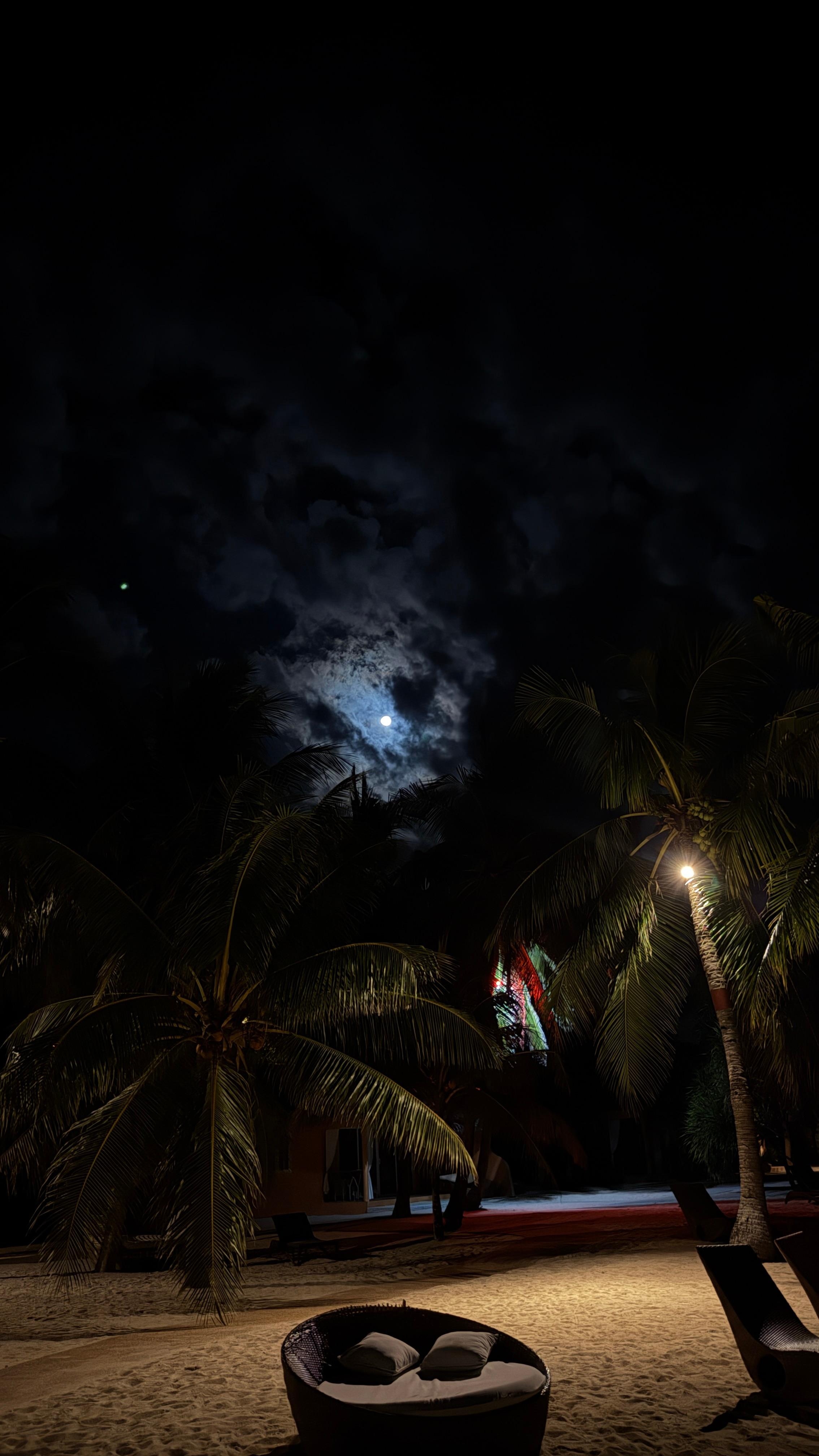 Nighttime on the beach