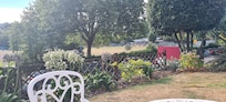 Sitting in garden watching the cricket