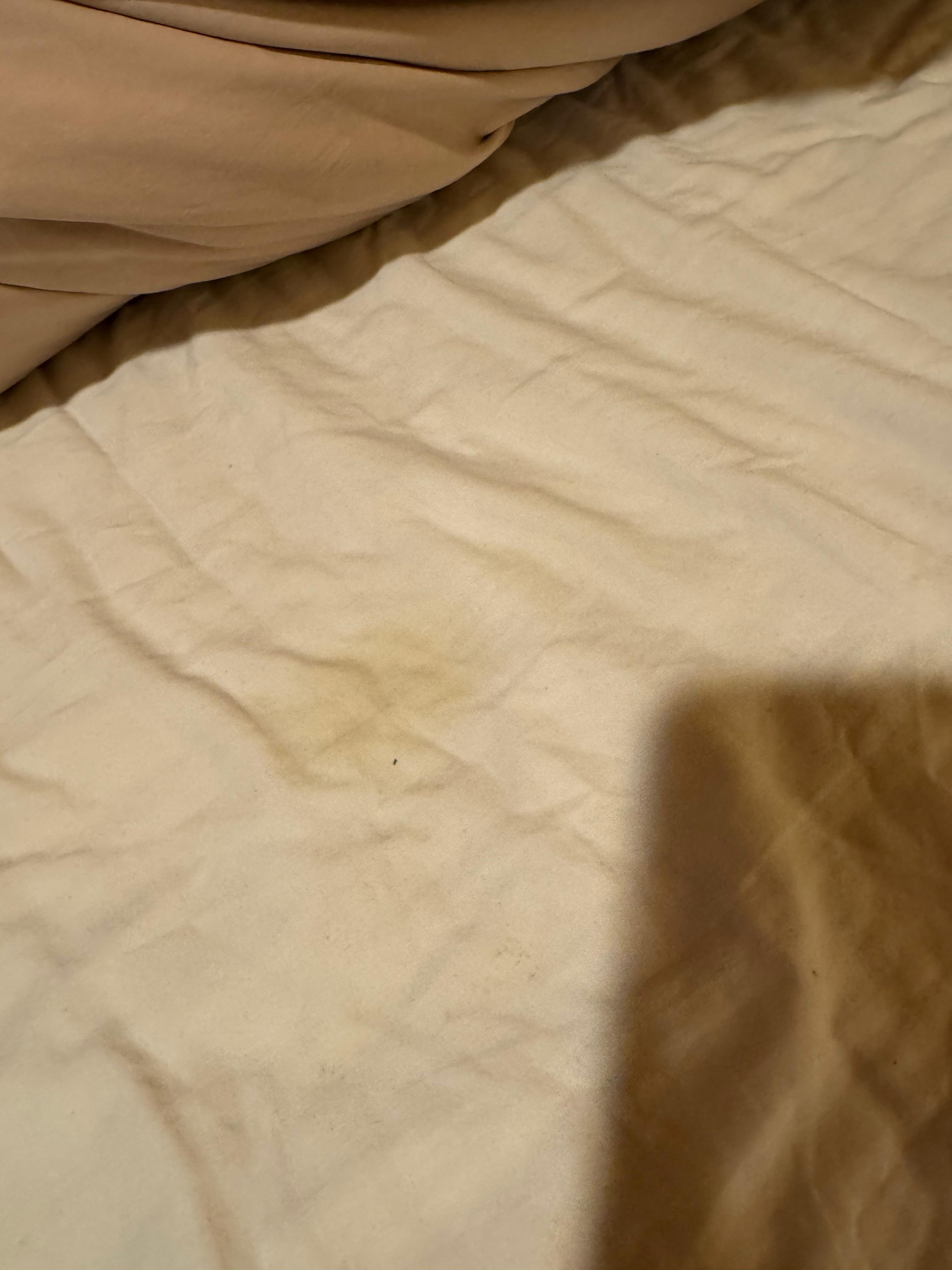 Urine marks on bedding (as found on arrival)