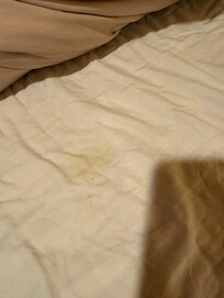 Urine marks on bedding (as found on arrival)
