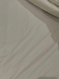 Hair on bedsheet