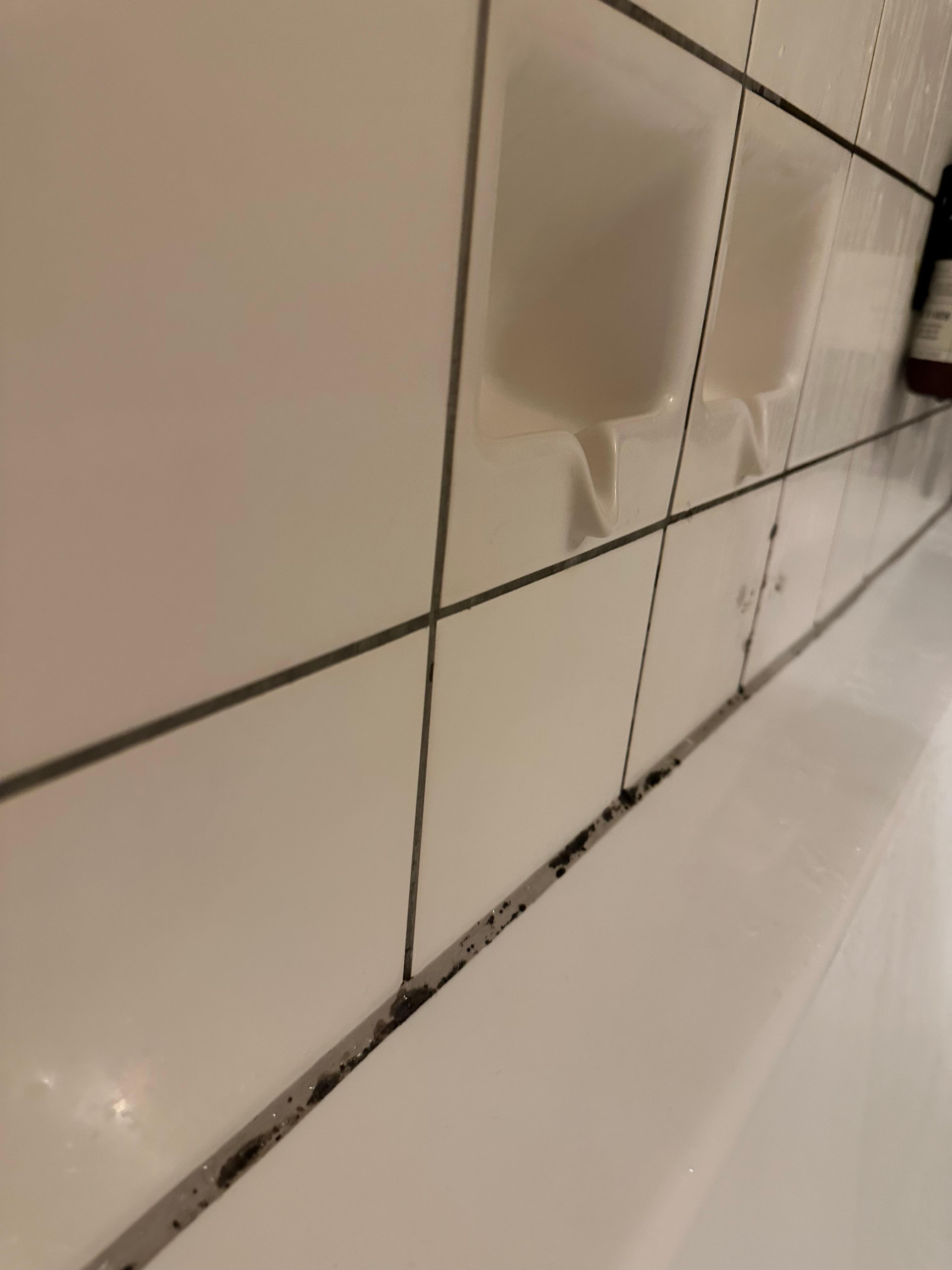 Skimmel i badet