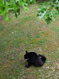 Our visitor!