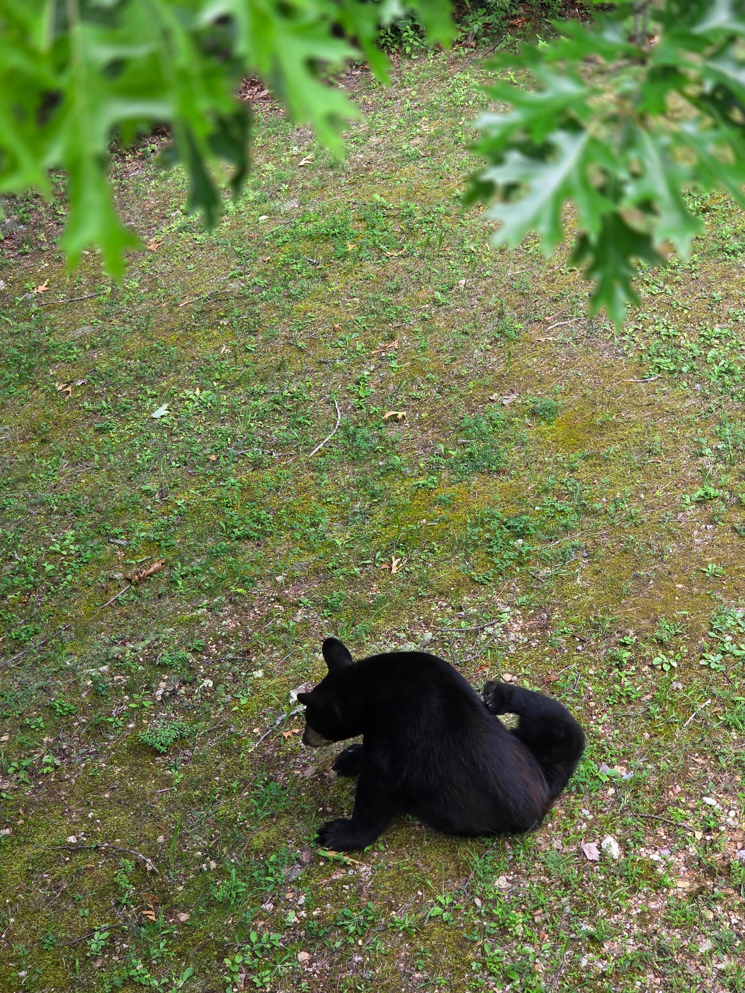 Our visitor!