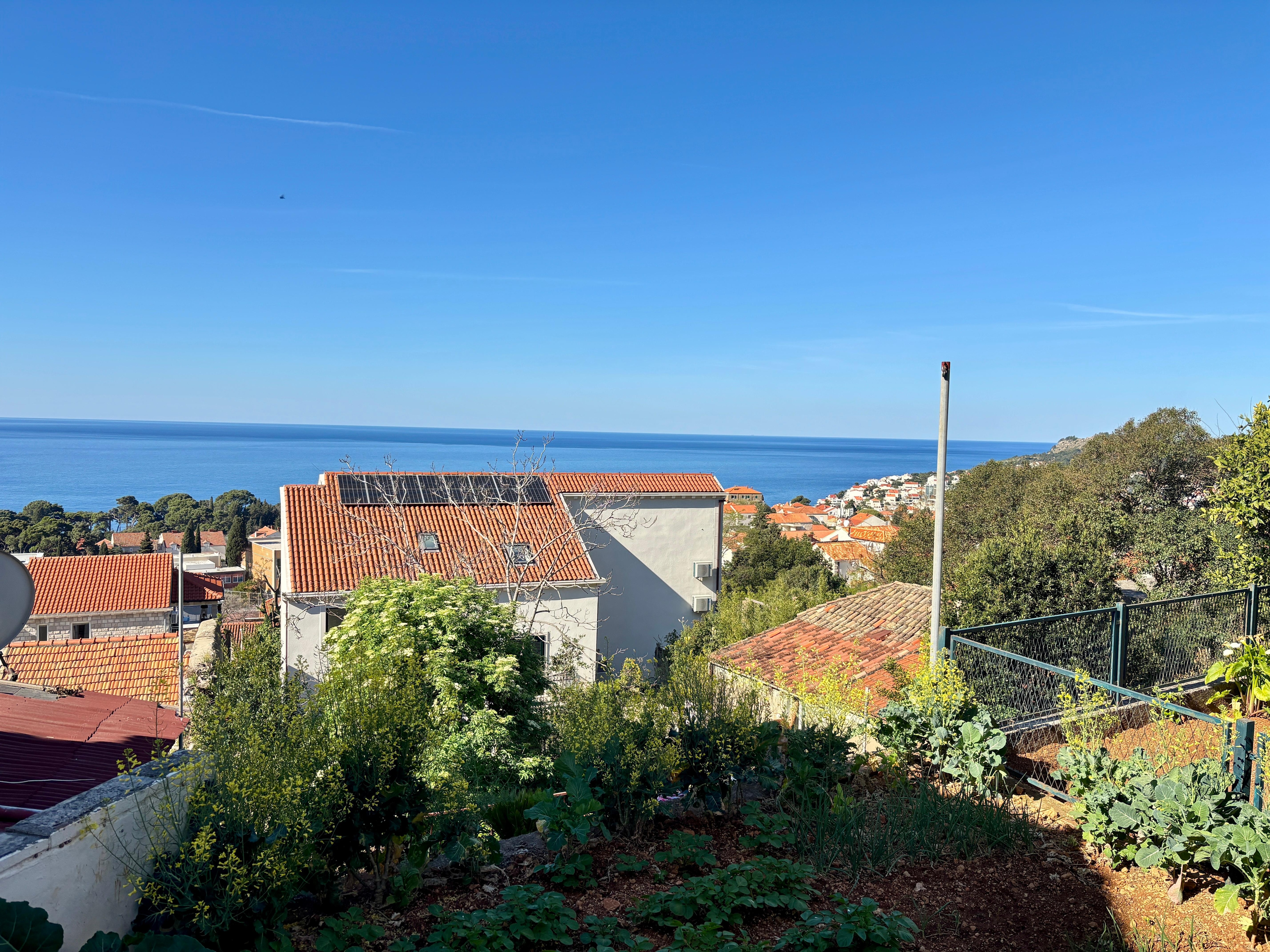 Blick von der Terrasse 