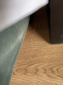 After the room was “cleaned”
