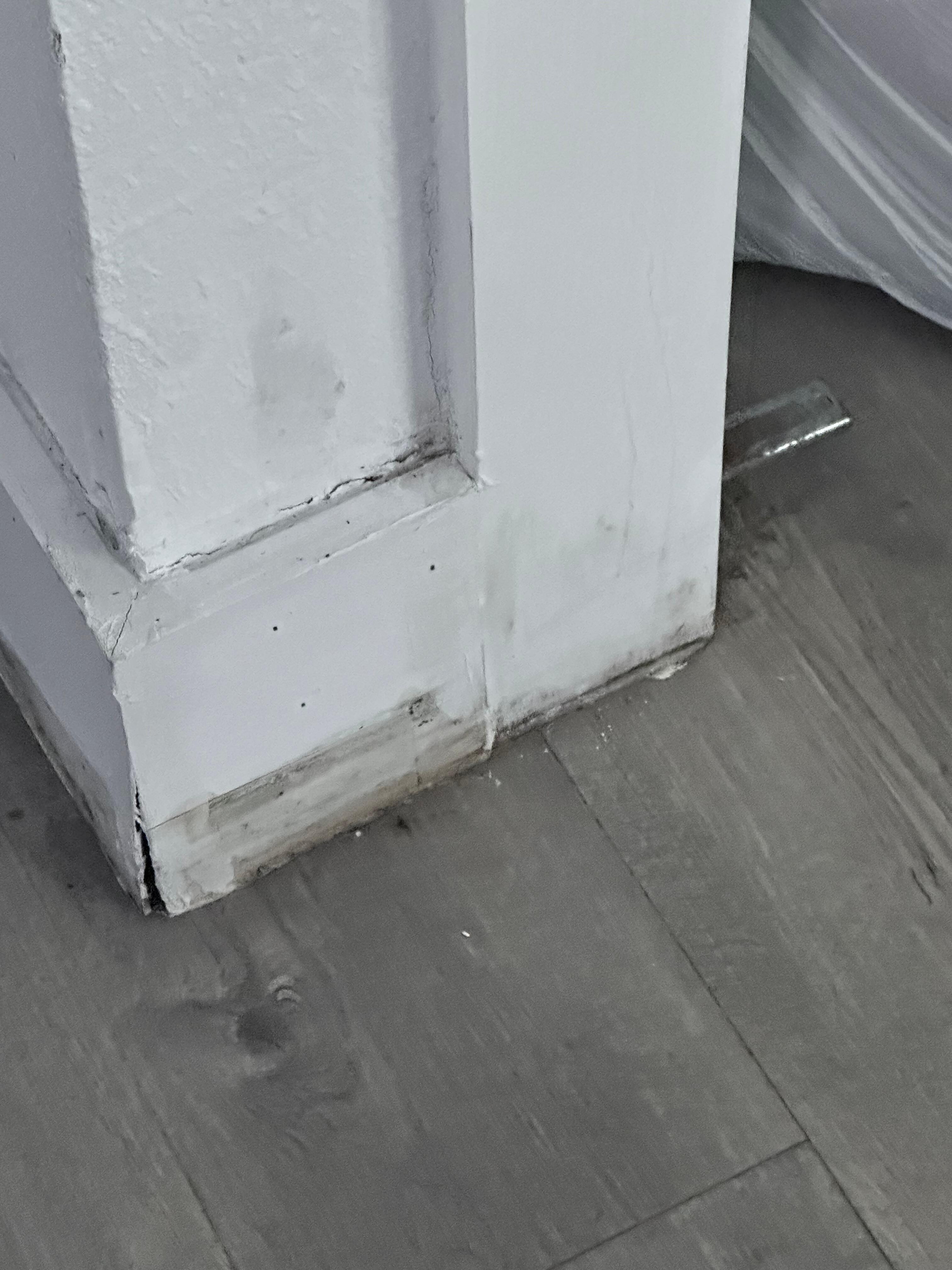 Mold