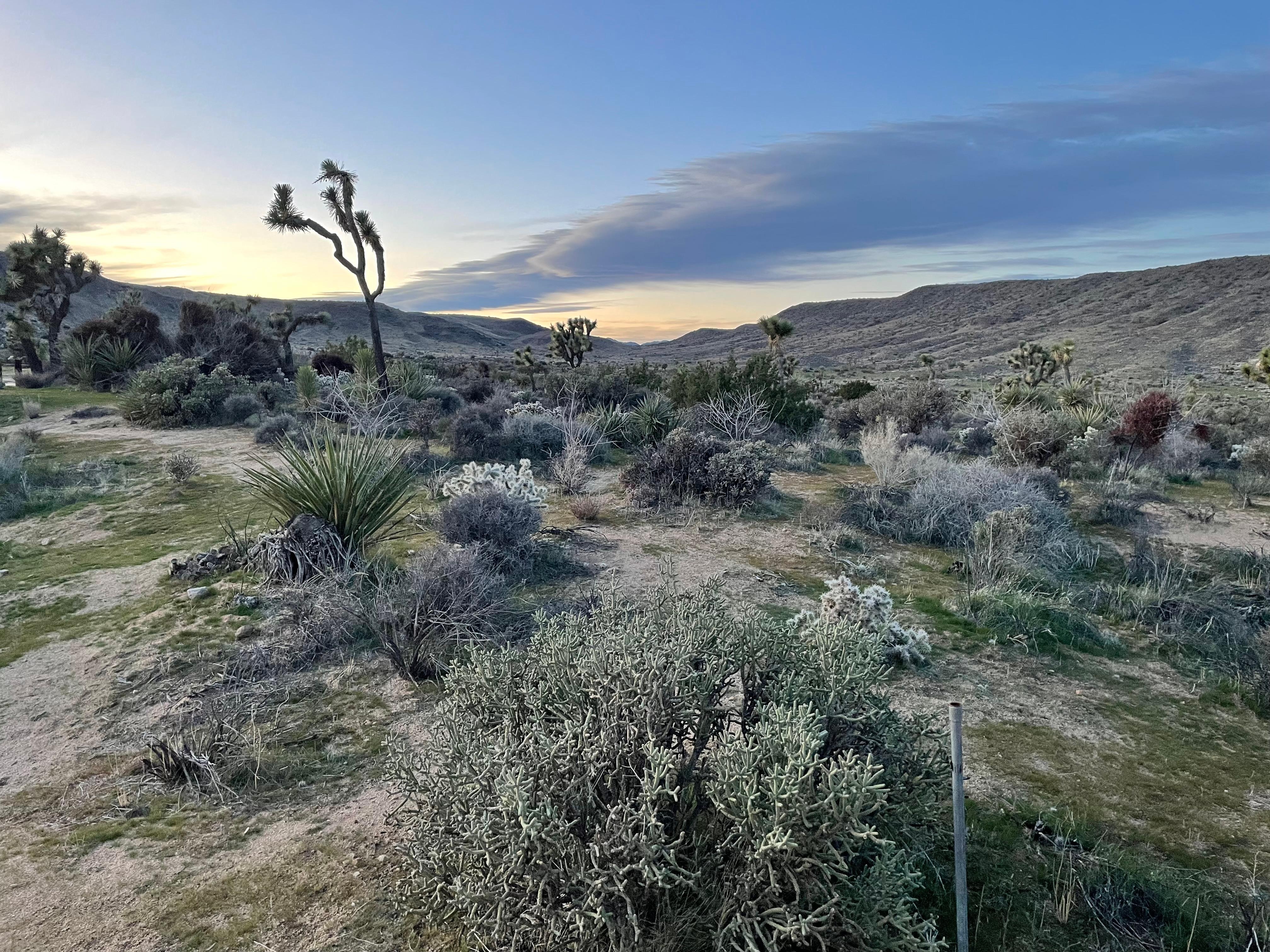 Gorgeous twilight skies over the high desert. 