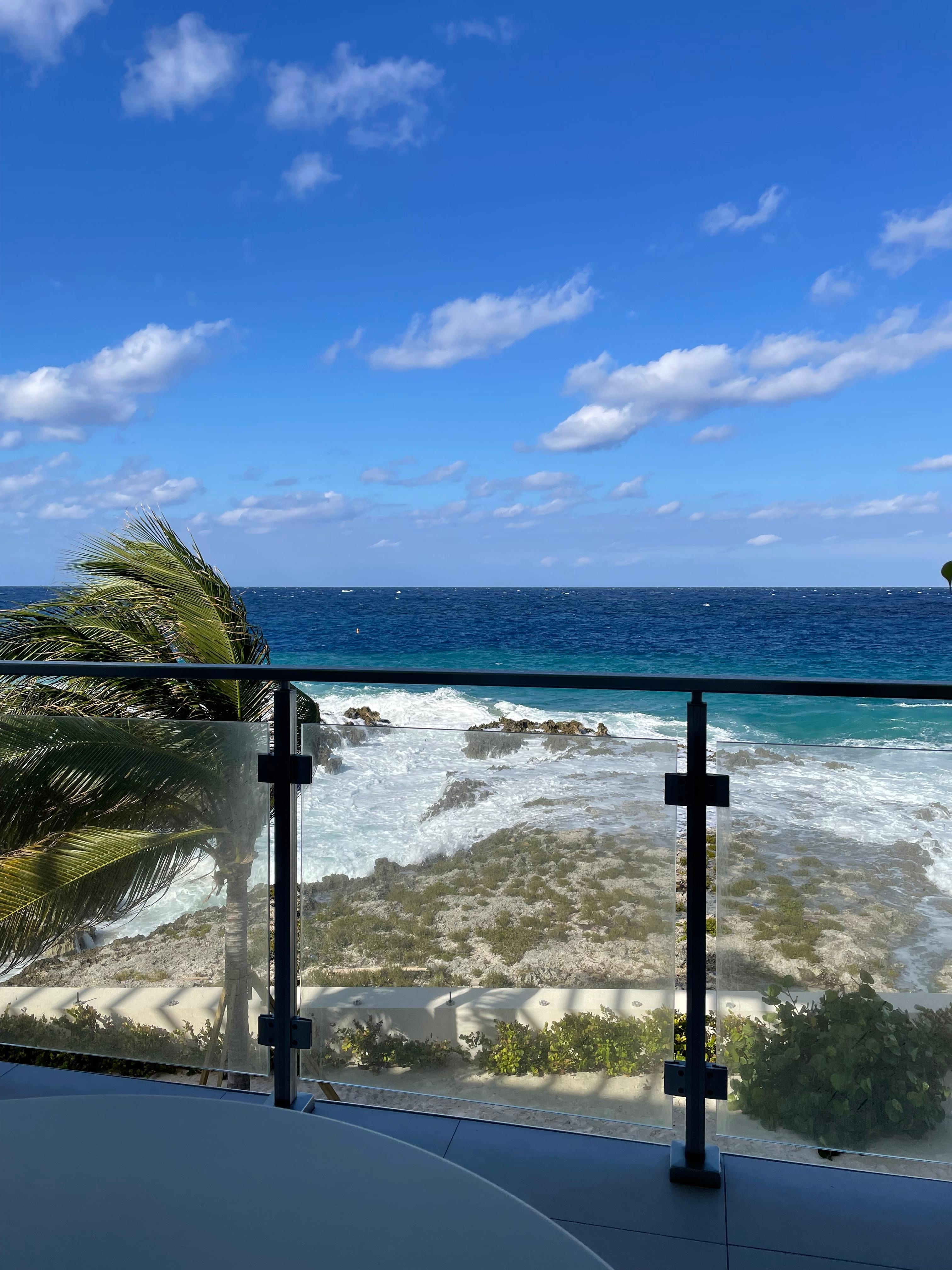 View from the patio!