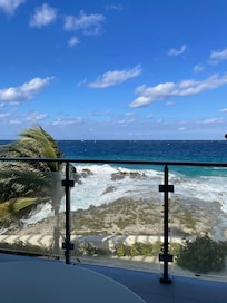 View from the patio!