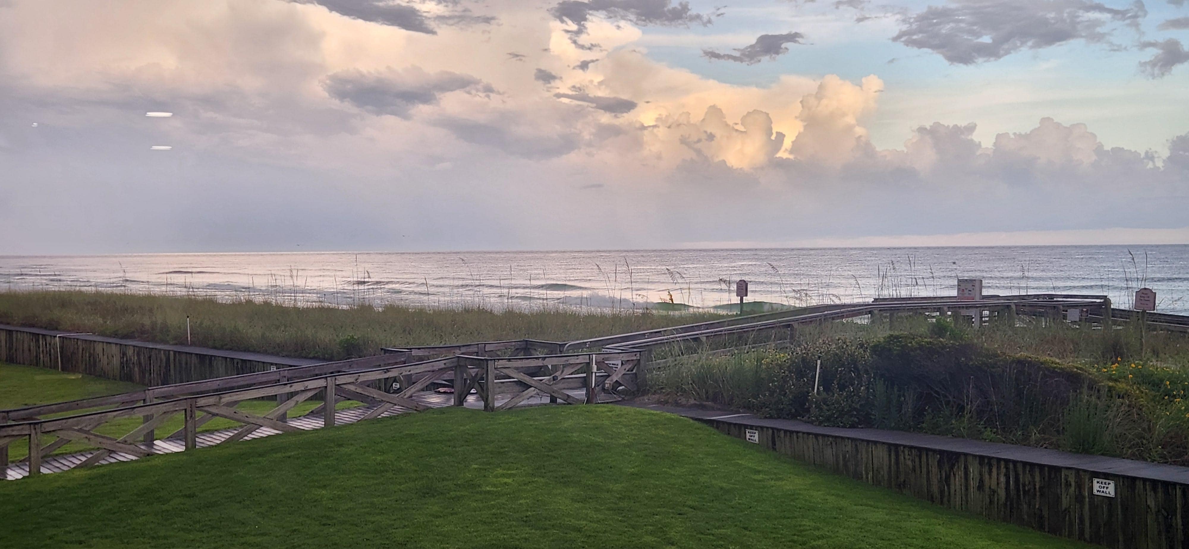 the view