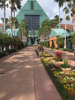 Welcome to the Swan and Dolpin Resort.