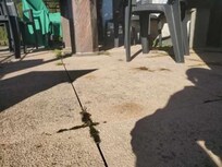 mousse sur la terrasse du haut