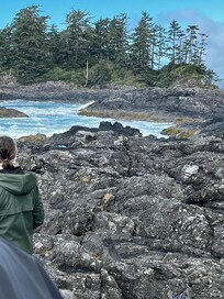 Chesterman Beach across the road.