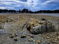 Beach off the property