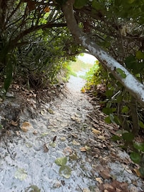 The path from the house to the beach