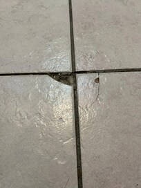 Broken floor tile in kitchen