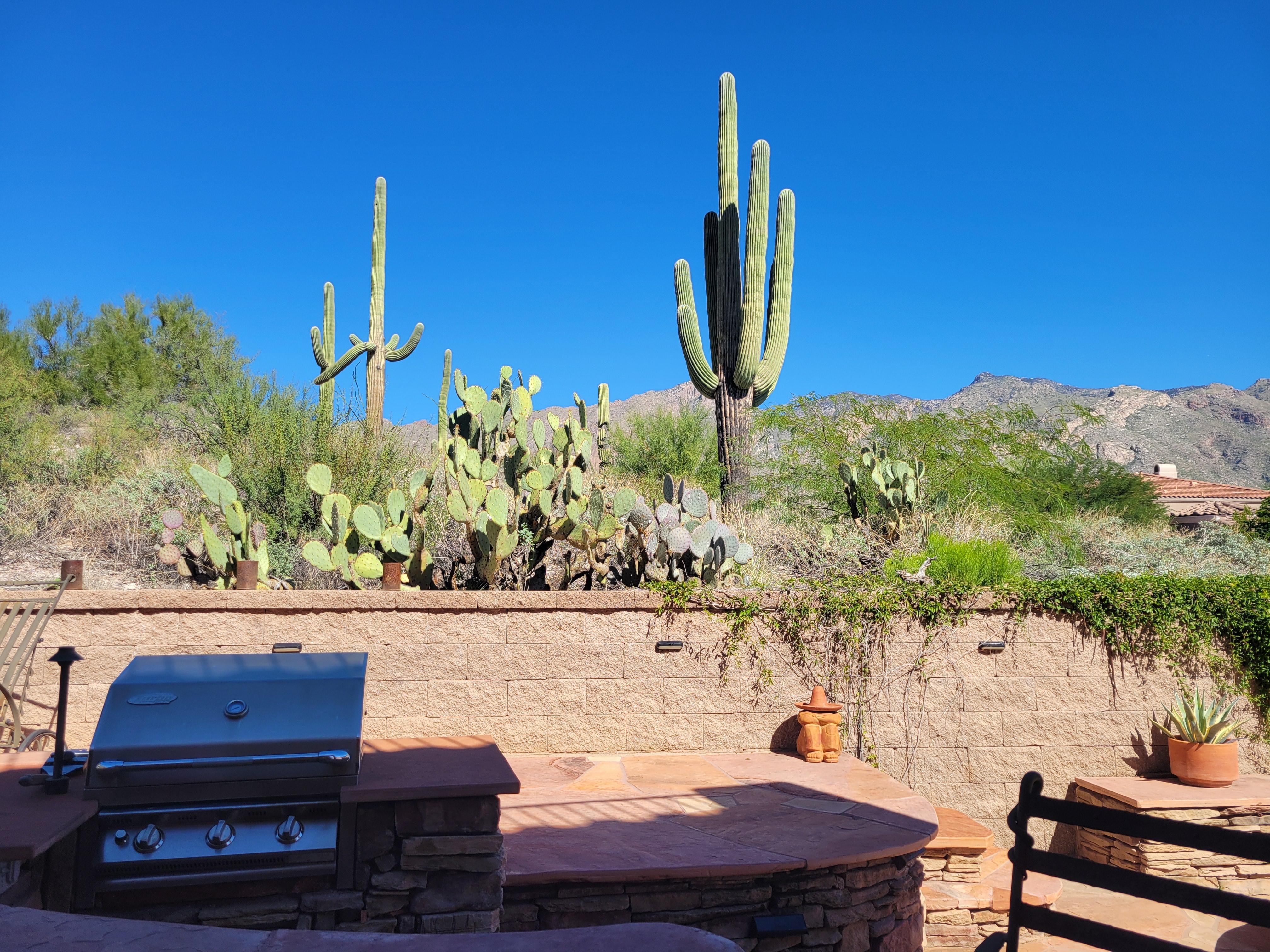 Beautiful landscape all around. 