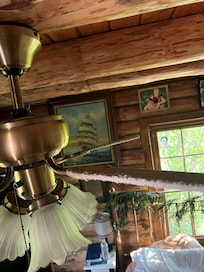 Filthy ceiling fans