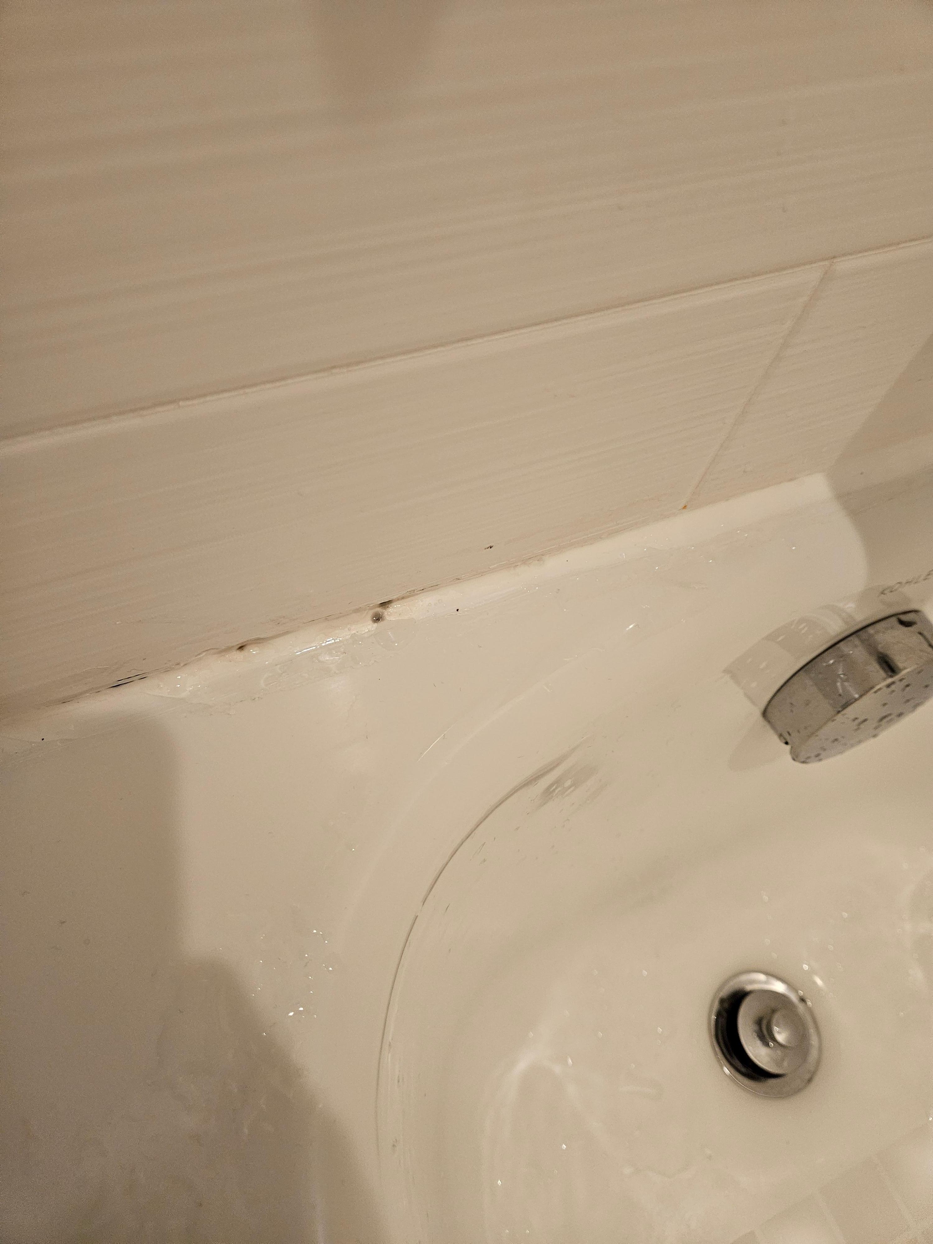 Bath tub mold