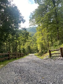 The driveway