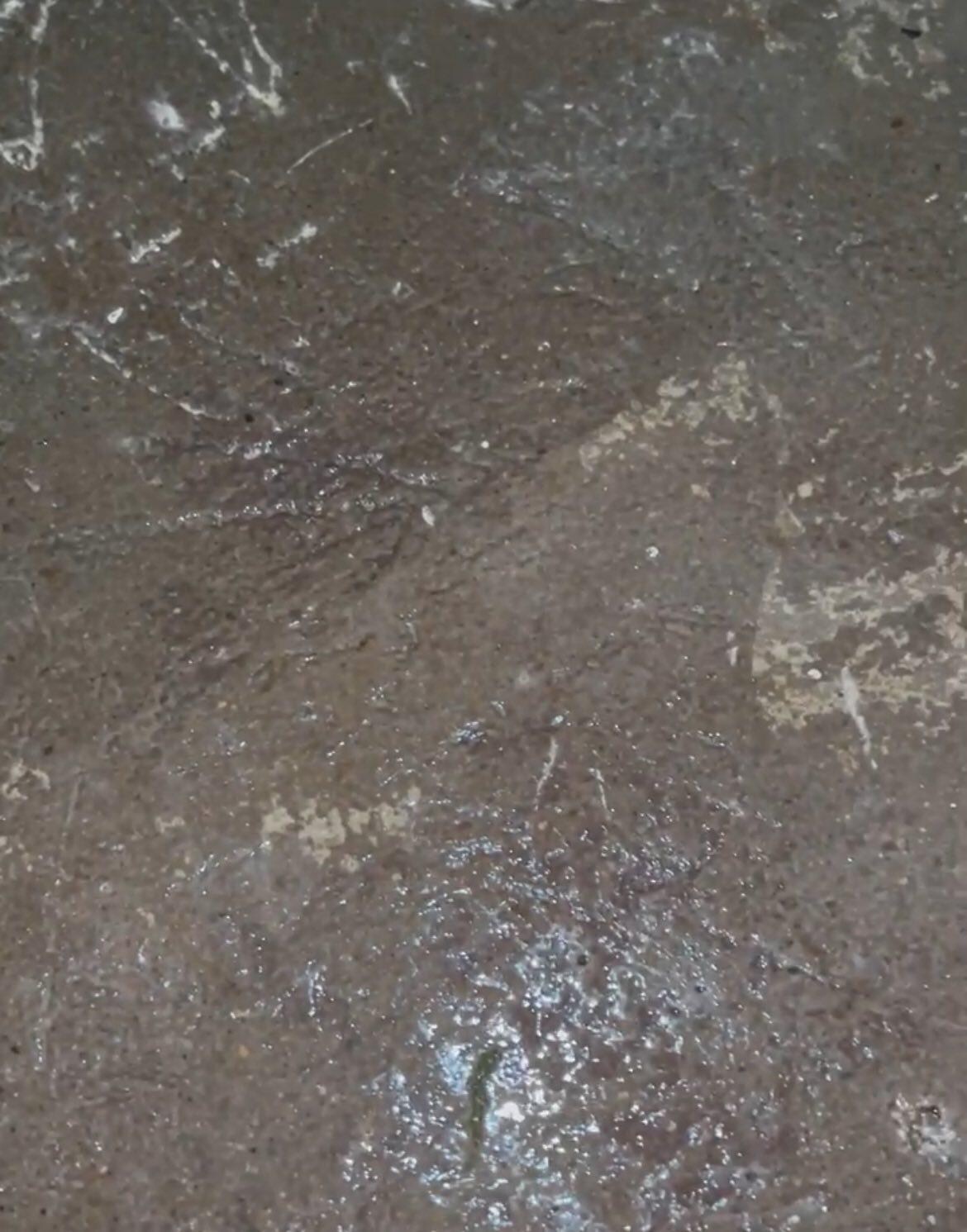 These are the wet concrete floors in the hotel as they begin to get wet.