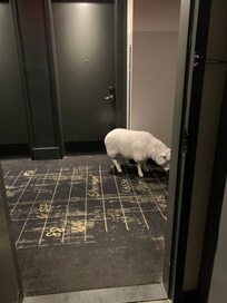 Nod to agriculture that were moved around.