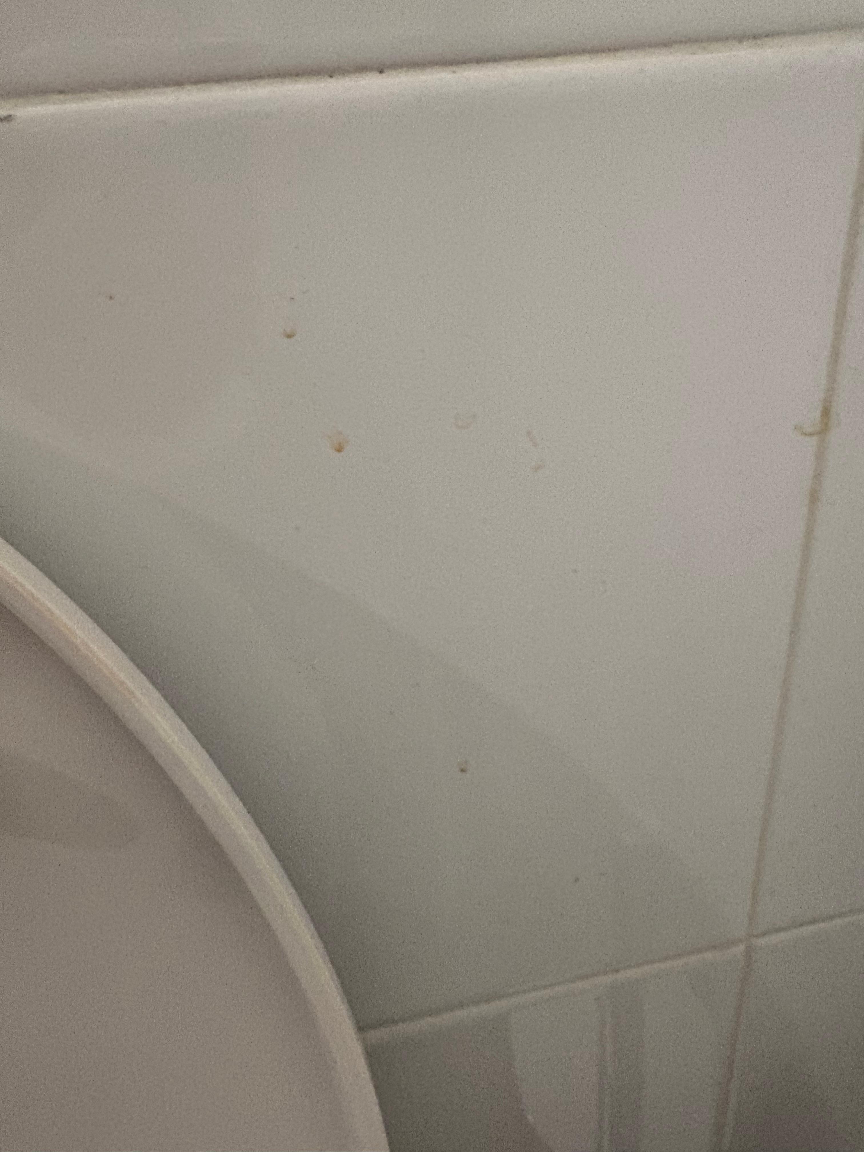 Mur à l’arrière de la toilette 