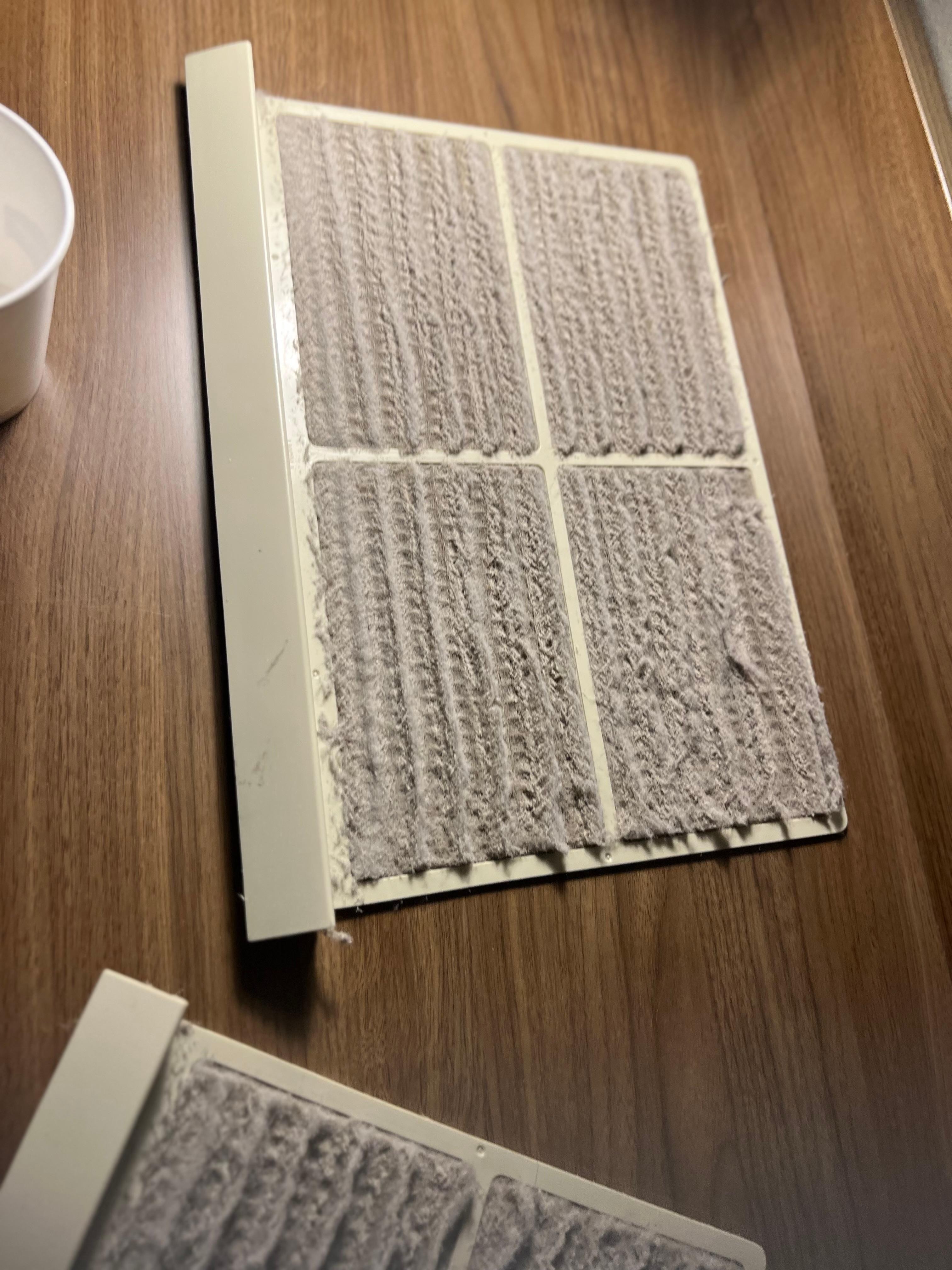 2nd HVAC filter from our room