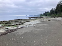 beach looking east