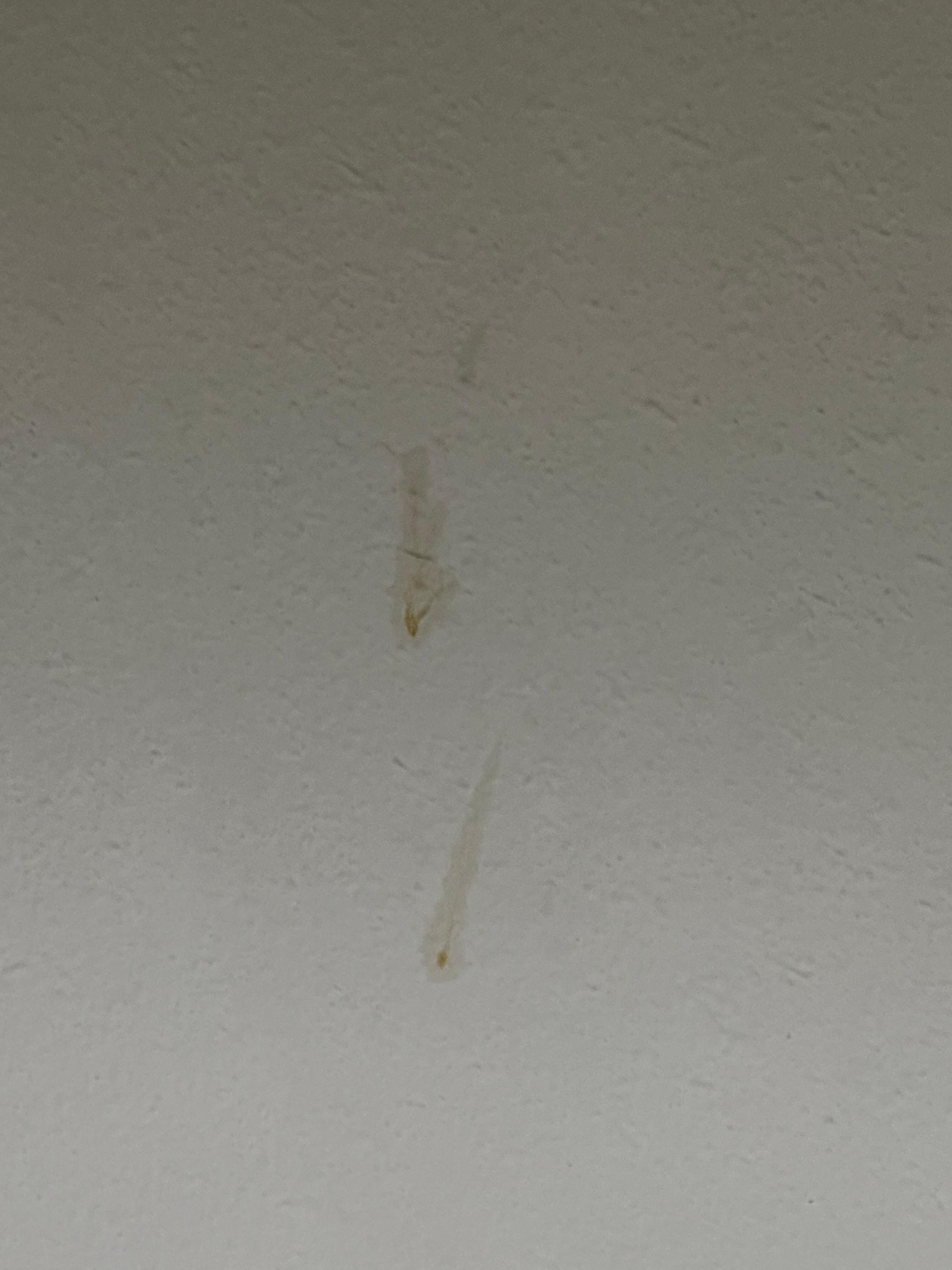 Stains on ceiling