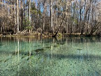 Beautiful Ichetucknee