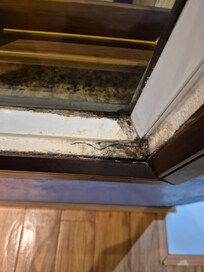 Moisture around the Windows
