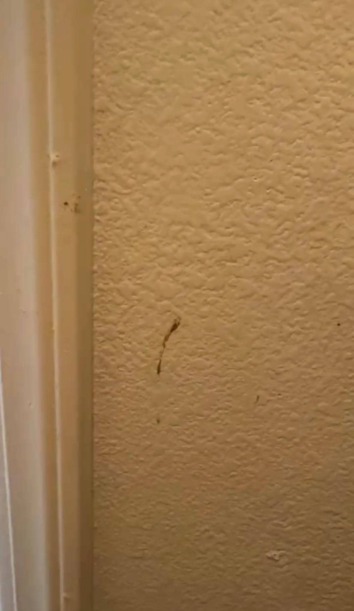 God knows what that is on the wall next to the toilet that's broken.