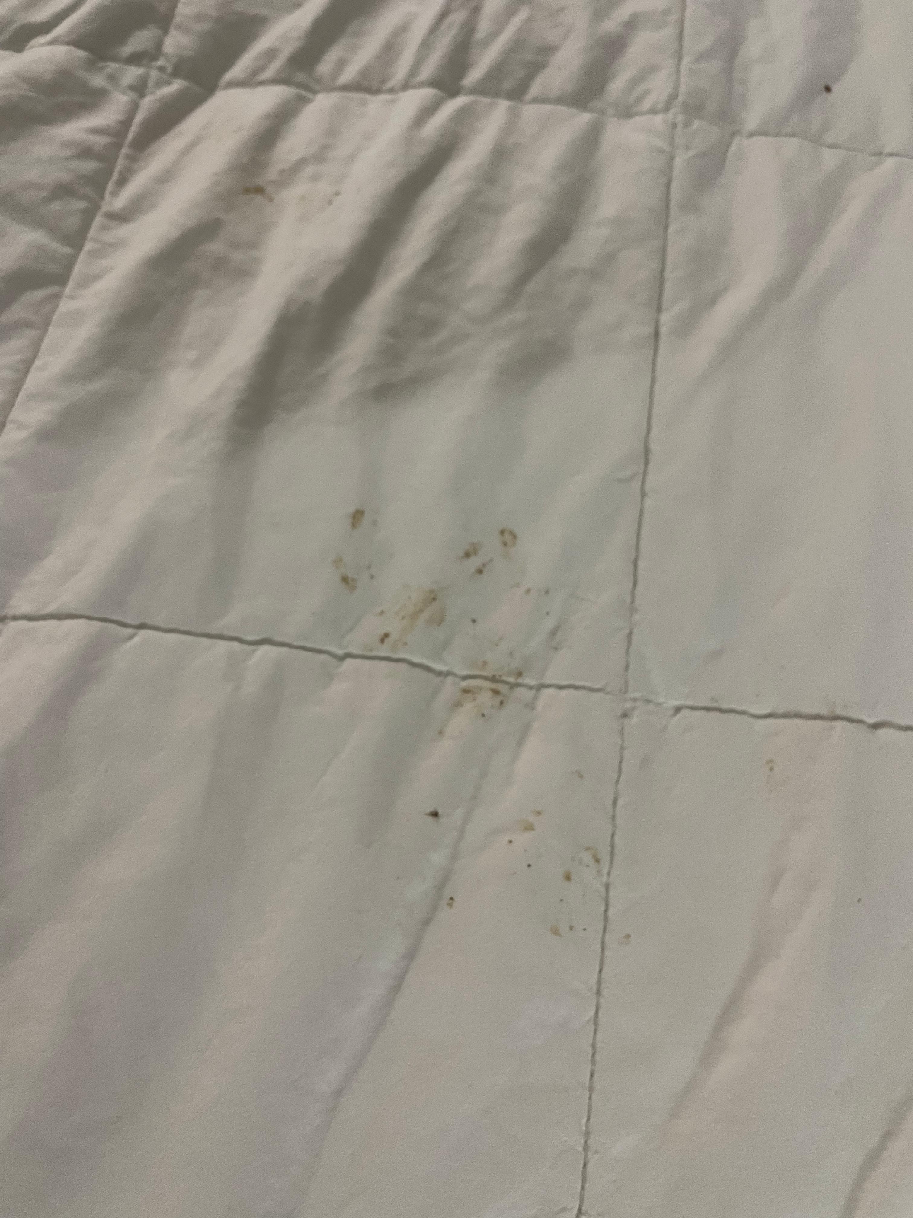 Also found poop on it and they told me it was just washed