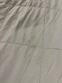 Also found poop on it and they told me it was just washed