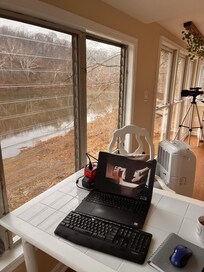 Best office view ever!