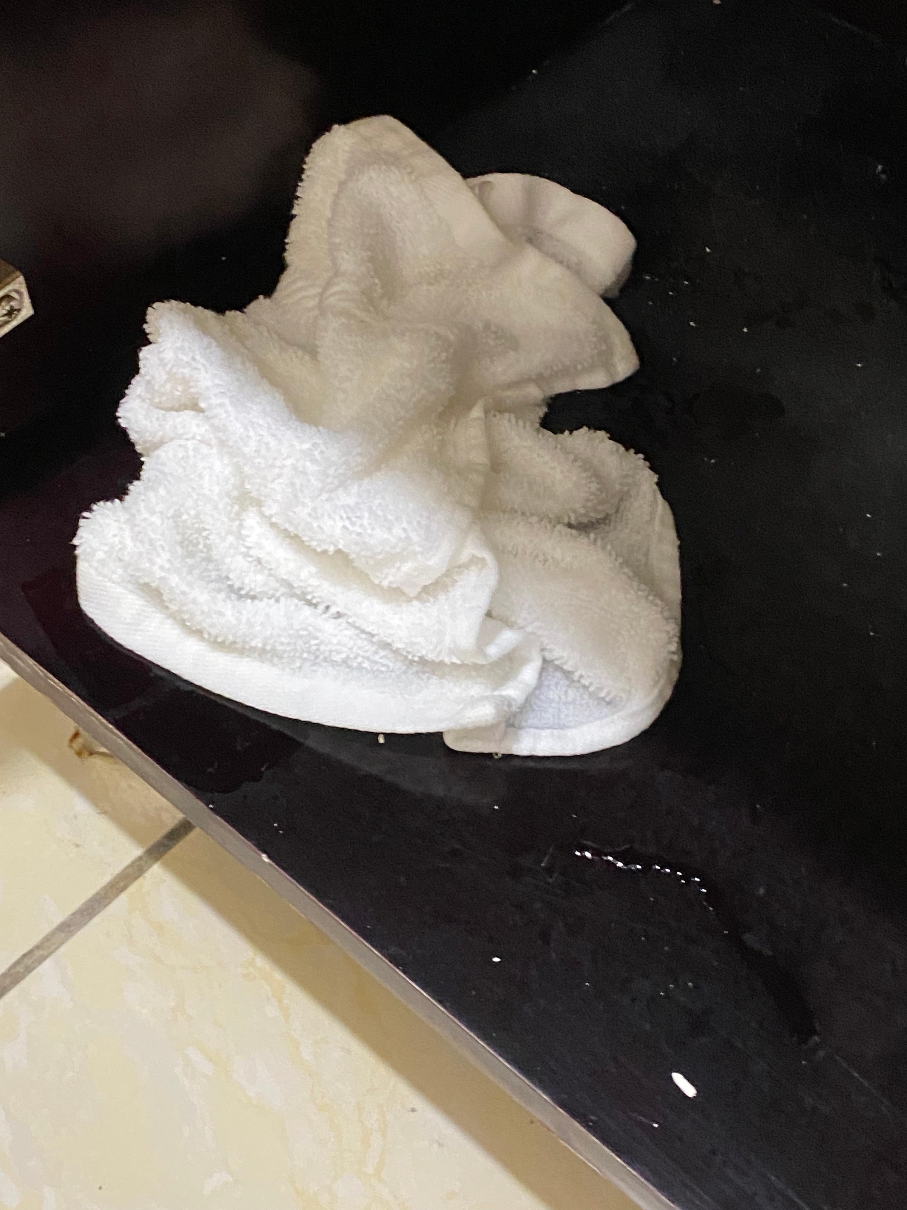 The only thing under the sink cabinet was a sopping wet rag in a pool of water.