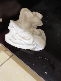The only thing under the sink cabinet was a sopping wet rag in a pool of water.