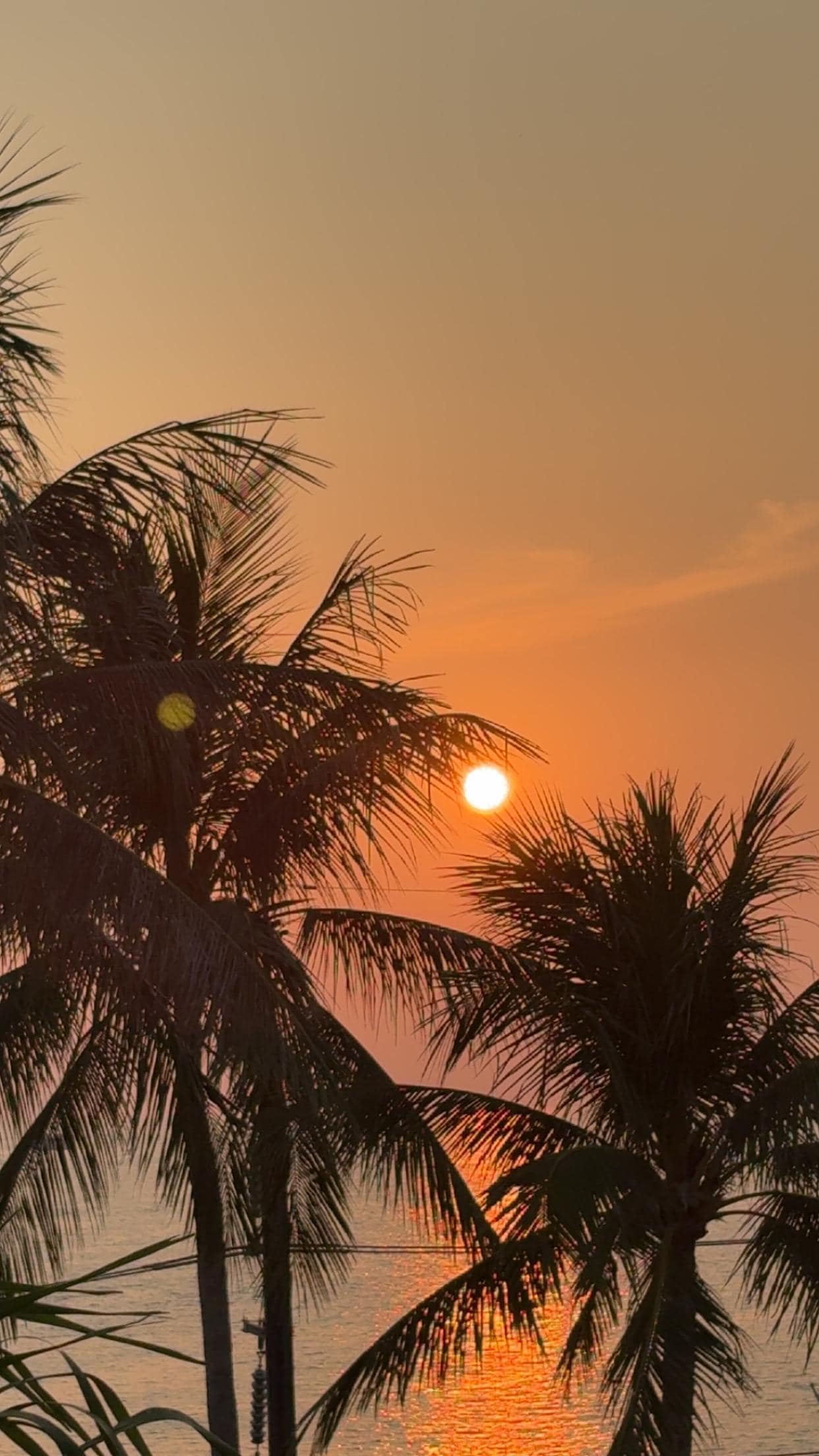 Utsikten fra rommet. 