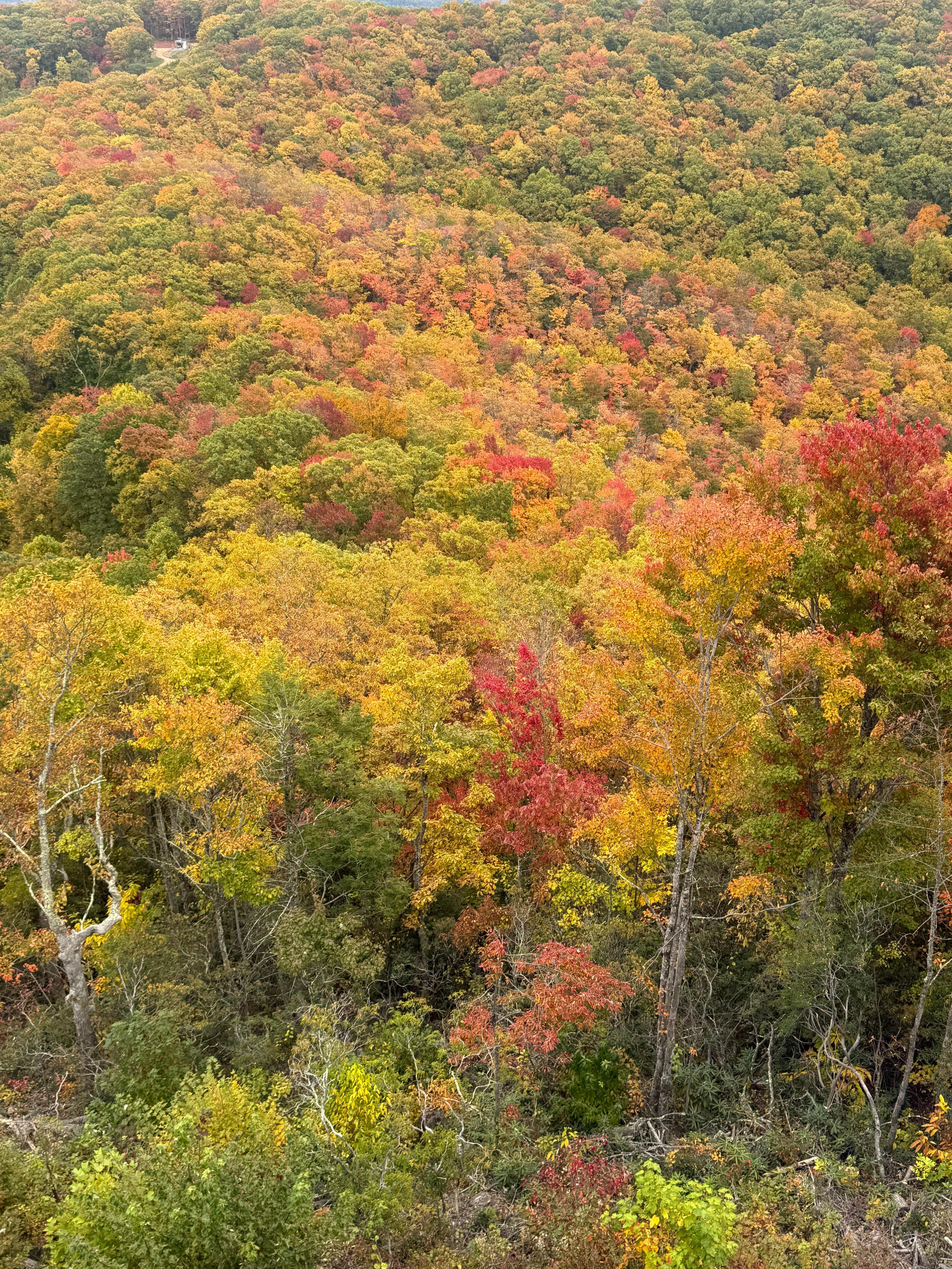 Fall is the best time to visit! 