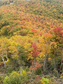 Fall is the best time to visit!