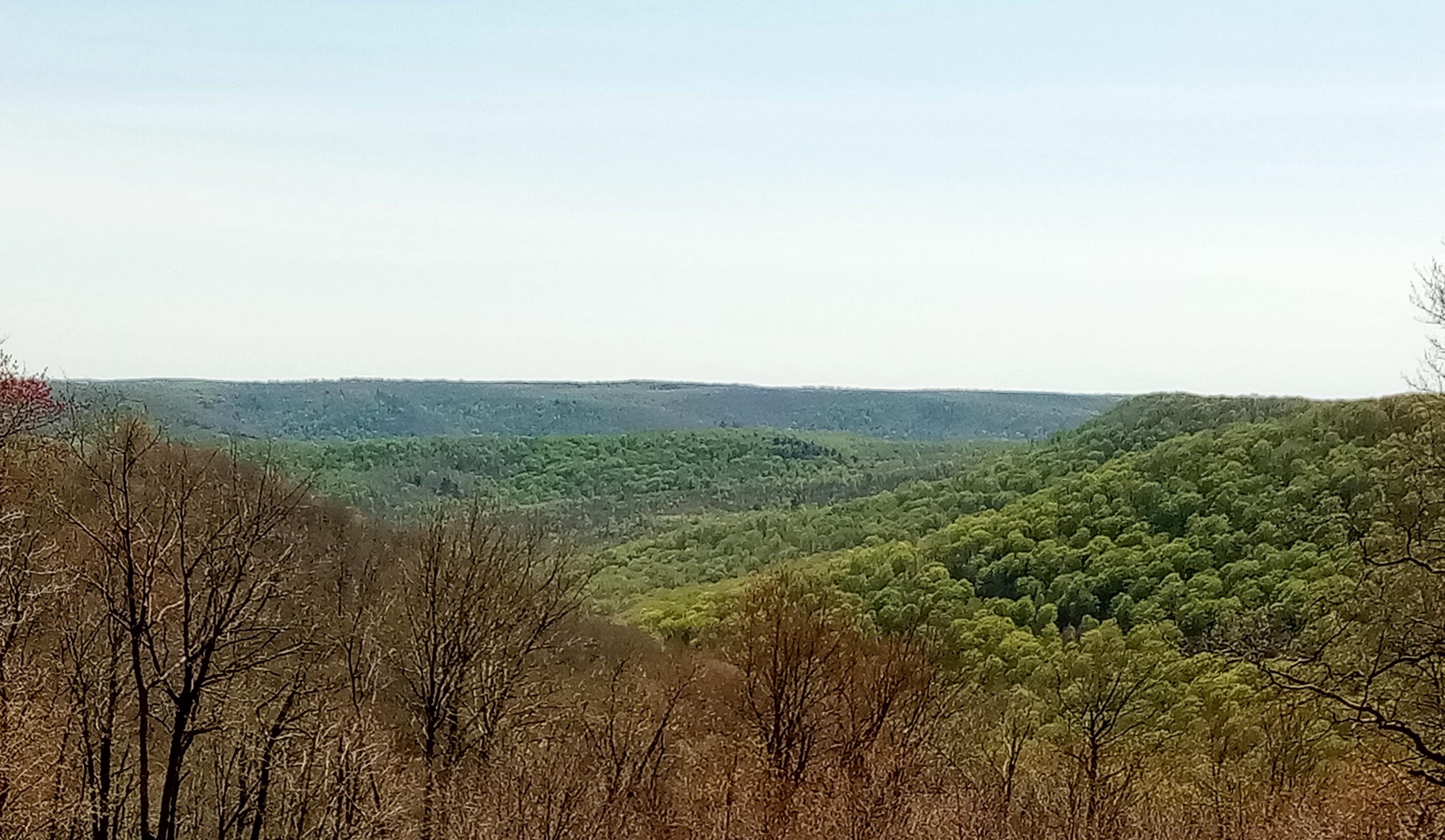 Roadside Lookout on Route 44.